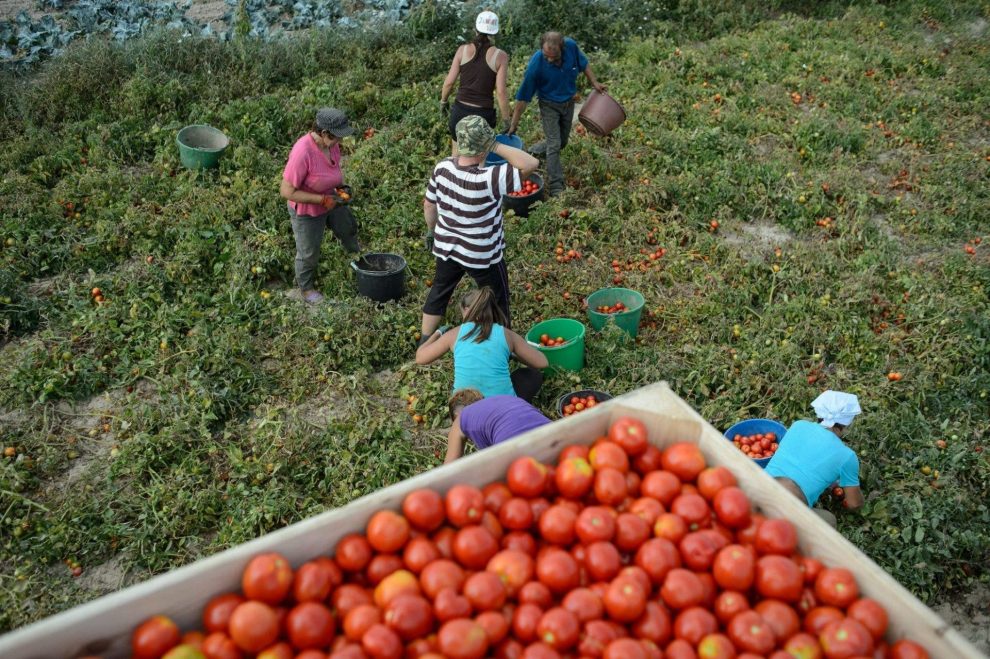 2024 11 532470357.png