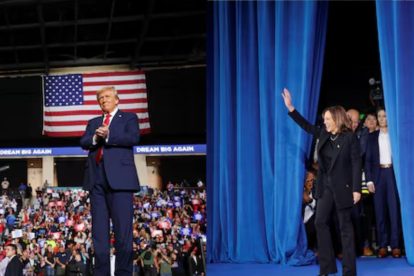 2024 11 535706202.png