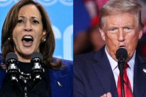 2024 11 536175959.png