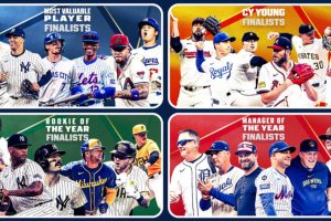 2024 11 543079851.png