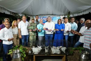 2024 11 544619627.png