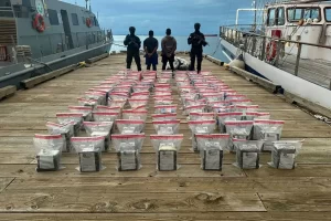 2024 11 547038846.png