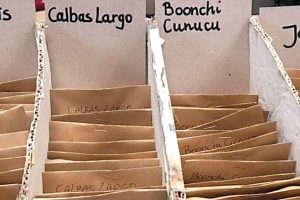 2024 11 547624255.png