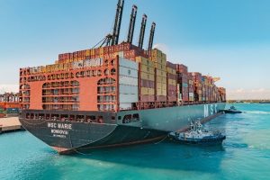 2024 11 558307855.png