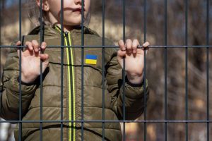 2024 12 564739148.png