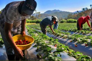 2024 12 565346789.png