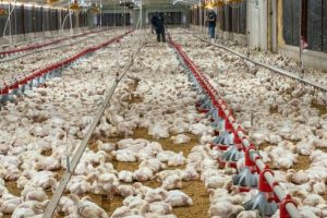 2024 12 571214976.png