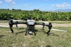 2024 12 581217924.png