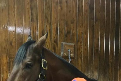 2024 12 589826843.png