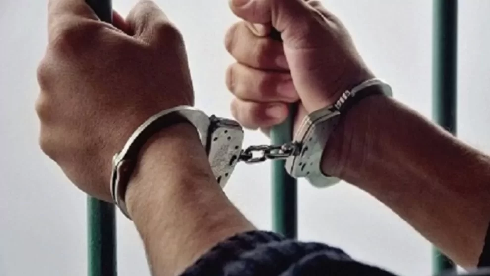 Genesis Youtube Genesis Nuevooo 37 2