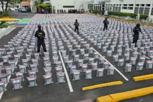 2025 01 600439327.png