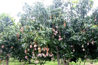 2025 01 605113109.png