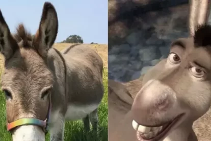 8488861847.png