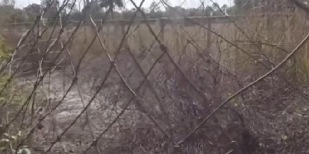 2025 03 654160683.png