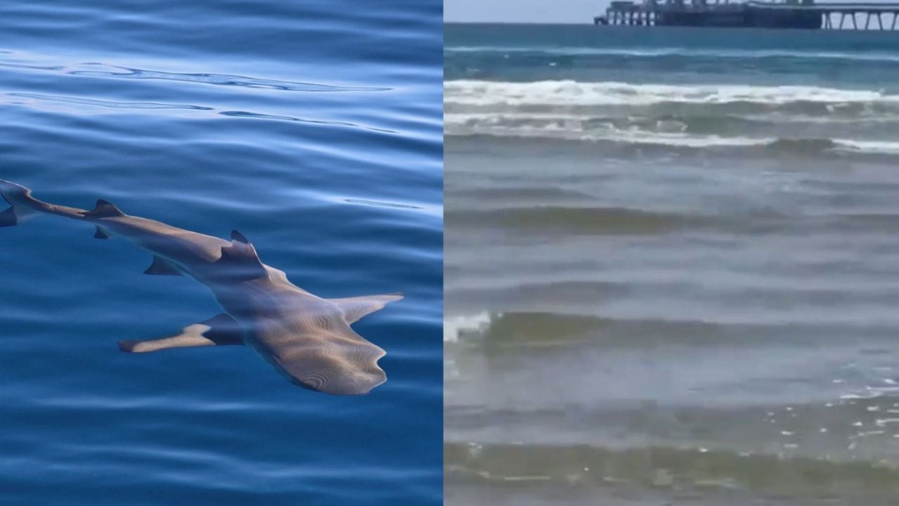 8647456759.png