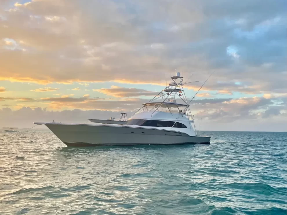 2025 05 725644331.png