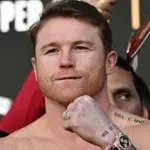 8661271536.png