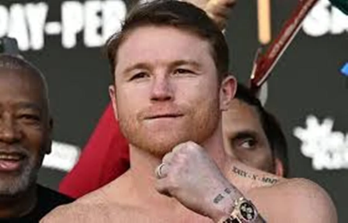 8661271536.png