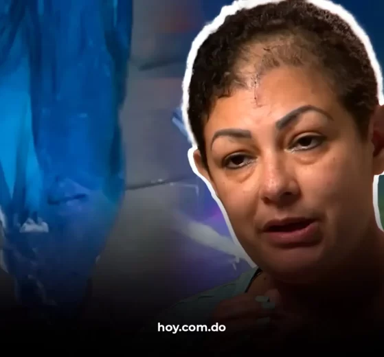 8668233651.png