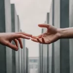 8678343146.png