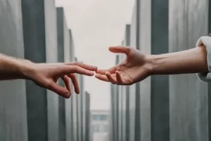 8678343146.png