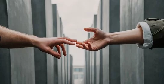 8678343146.png