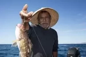 8683421176.png