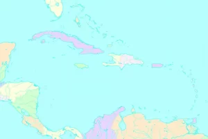 8694196364.png