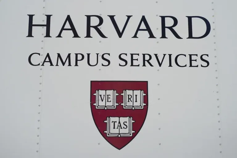 8700775620.png