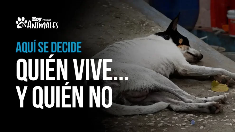 2025 06 735872269.png