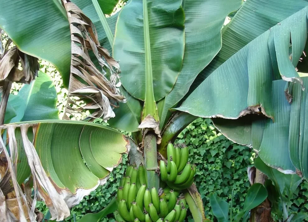 2025 06 743093467.png