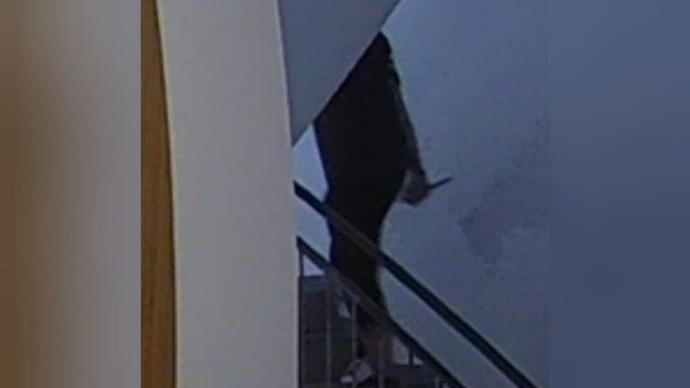 2025 06 752537096.png