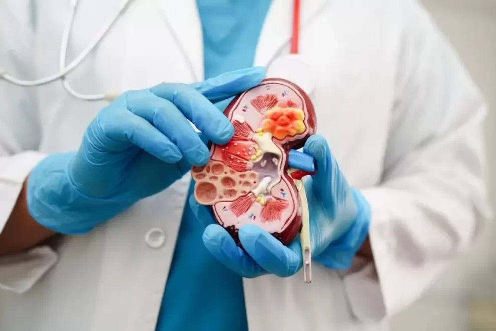 2025 06 752837226.png