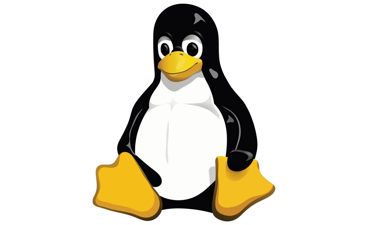 2025 06 763258928.png
