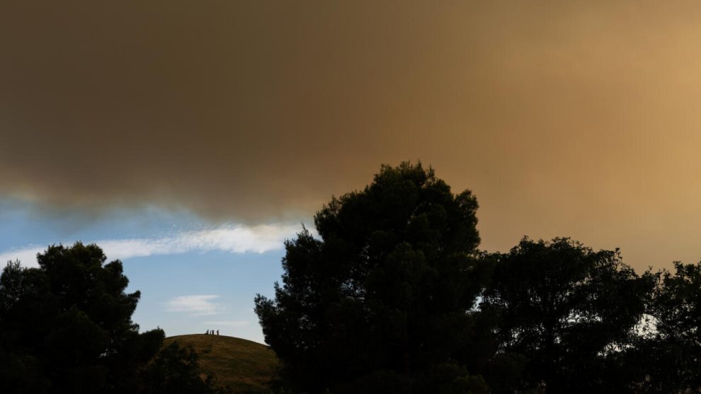 2025 07 780202288.png