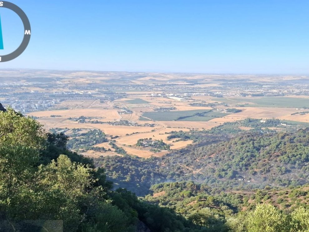 2025 07 784682259.png