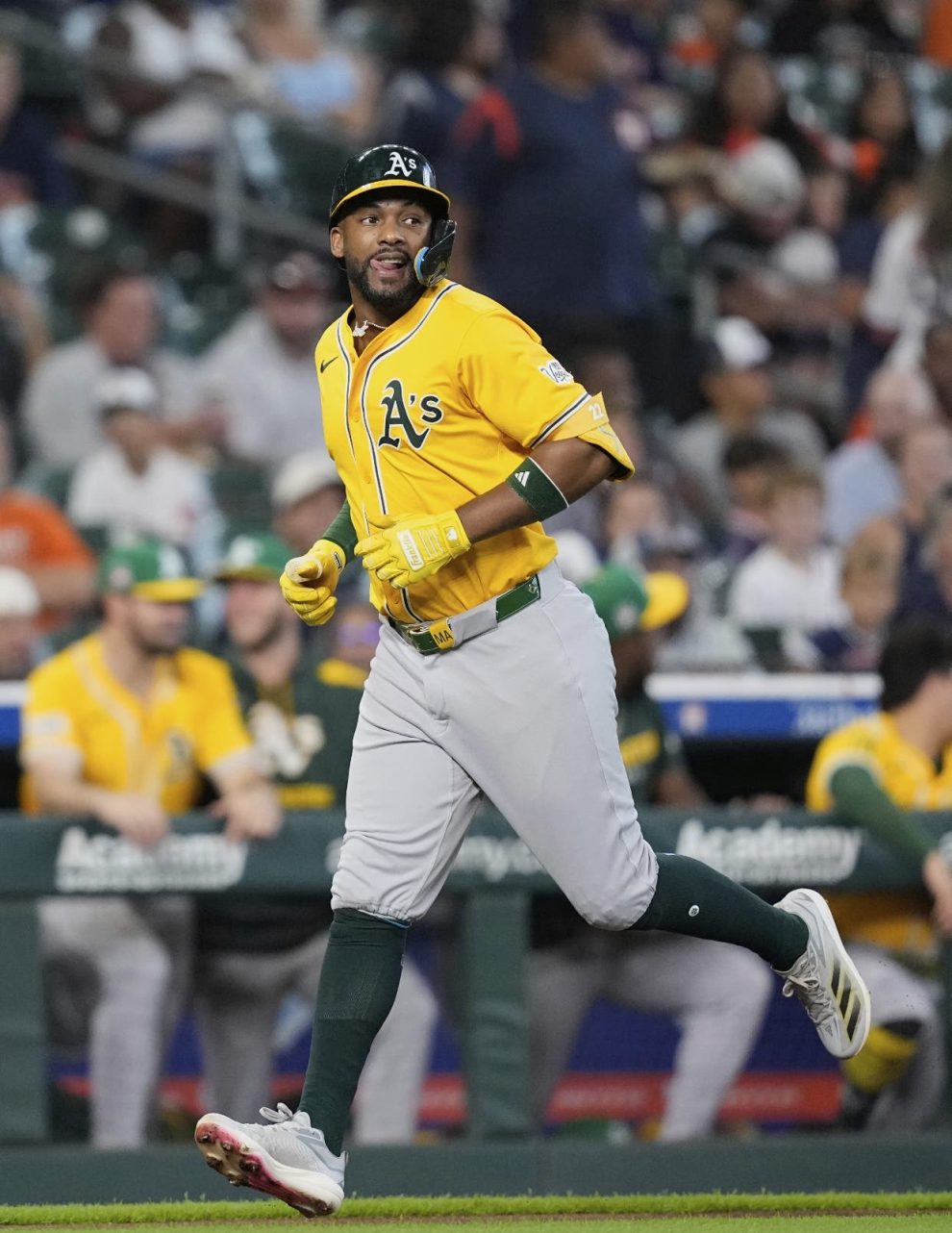 2025 07 788877951.png