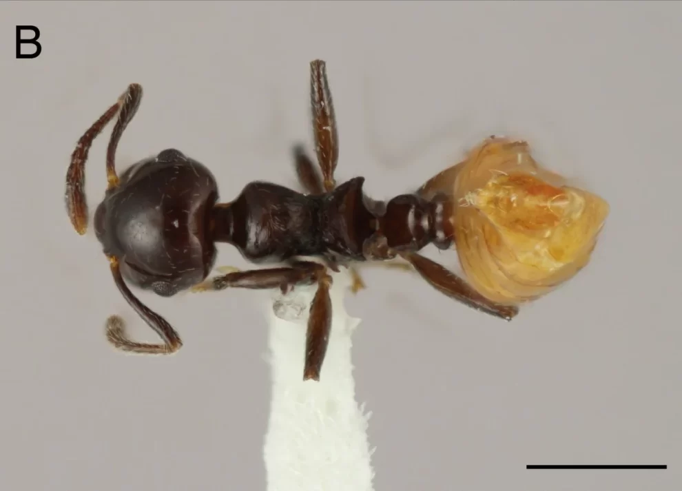 2025 07 791810602.png