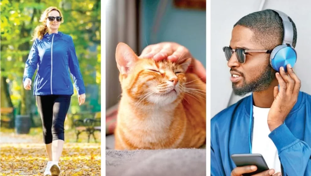 2025 07 791993008.png