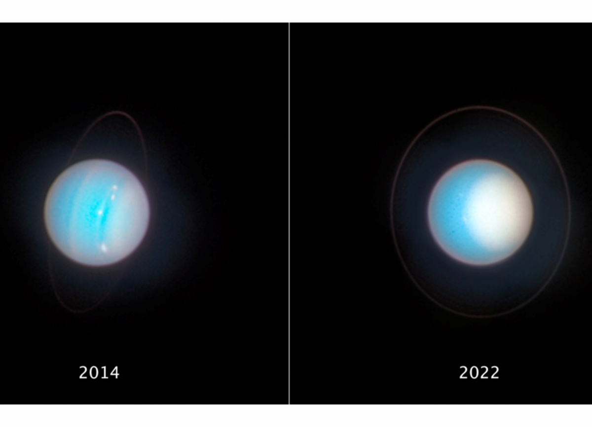 8781929368.png