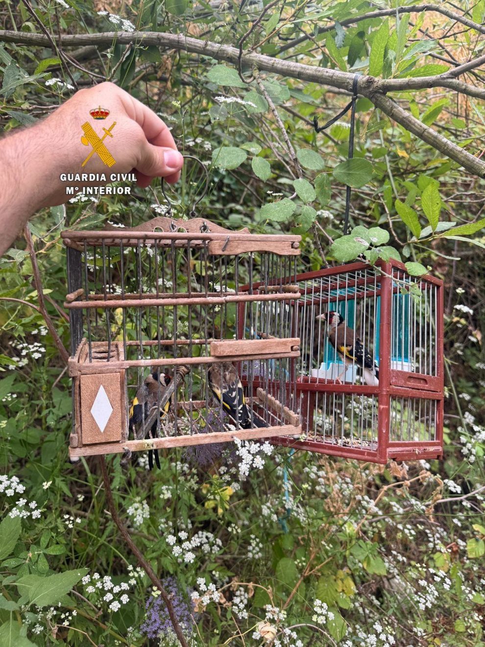 2025 08 810978954.png