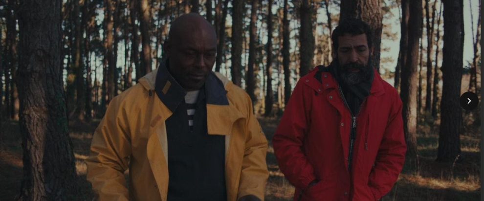 2025 08 812598131.png