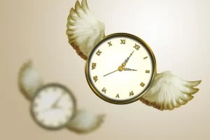 8812887686.png