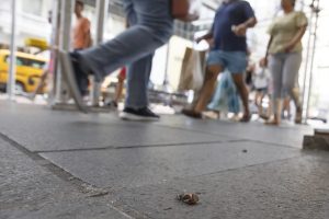 2025 09 821276466.png