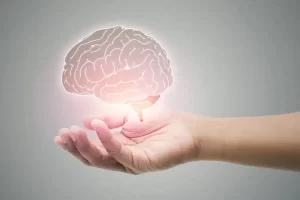 8855461550.png