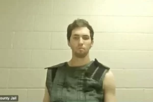 8866260686.png