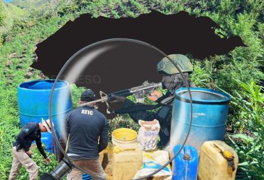 8866423871.png