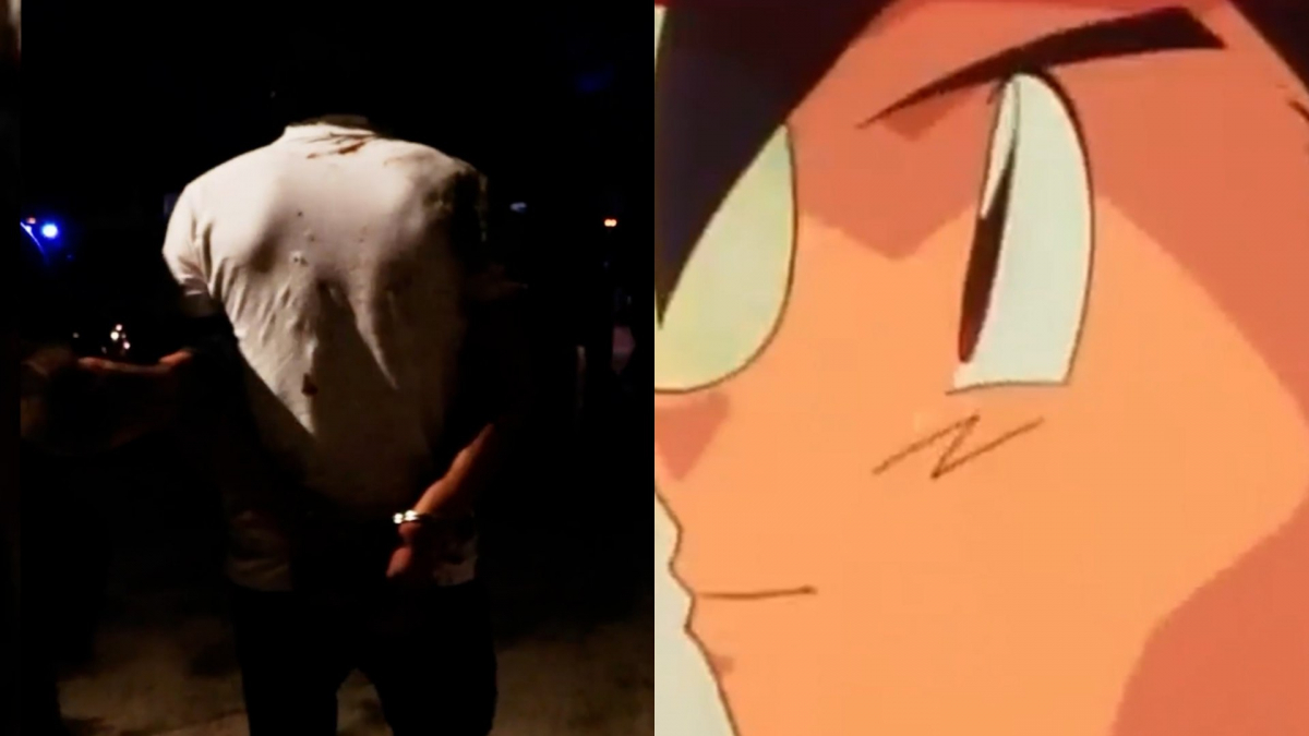 8878249238.png