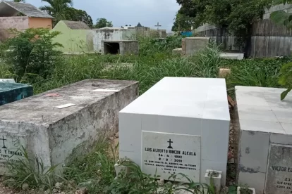 8880666709.png