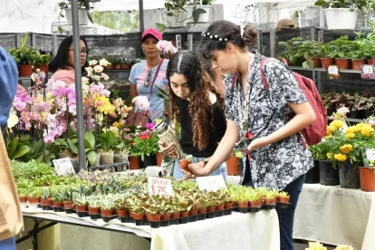 2025 10 862265207.png